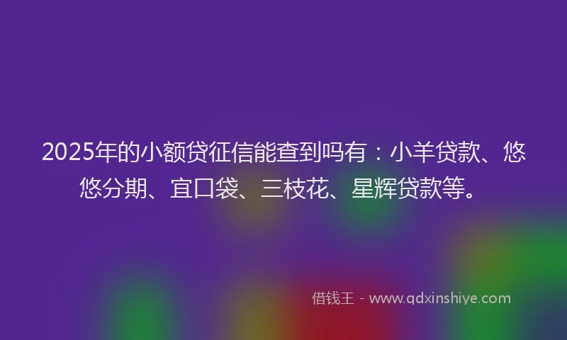 2025年的小额贷征信能查到吗有：小羊贷款、悠悠分期、宜口袋、三枝花、星辉贷款等。