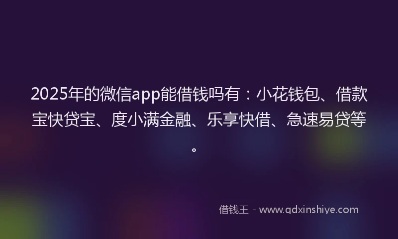 2025年的微信app能借钱吗有：小花钱包、借款宝快贷宝、度小满金融、乐享快借、急速易贷等。