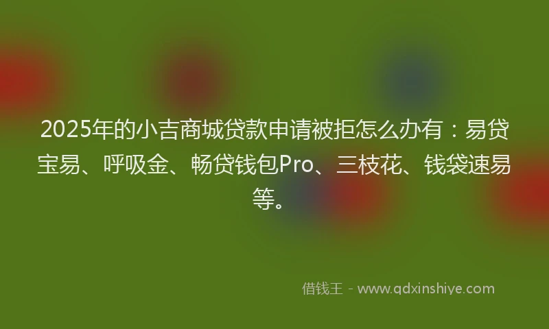 2025年的小吉商城贷款申请被拒怎么办有：易贷宝易、呼吸金、畅贷钱包Pro、三枝花、钱袋速易等。