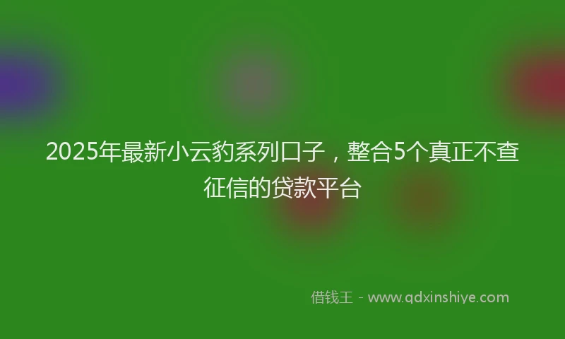2025年最新小云豹系列口子，整合5个真正不查征信的贷款平台