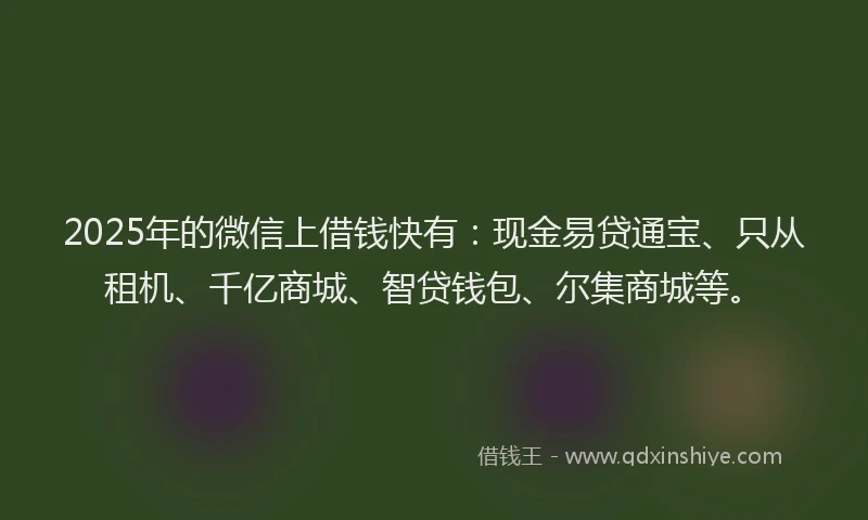2025年的微信上借钱快有：现金易贷通宝、只从租机、千亿商城、智贷钱包、尔集商城等。