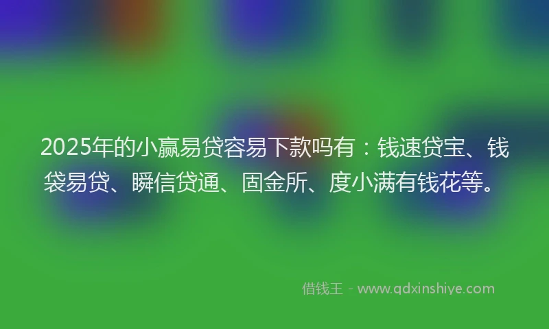 2025年的小赢易贷容易下款吗有：钱速贷宝、钱袋易贷、瞬信贷通、固金所、度小满有钱花等。