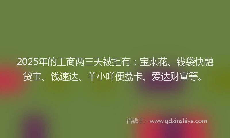 2025年的工商两三天被拒有：宝来花、钱袋快融贷宝、钱速达、羊小咩便荔卡、爱达财富等。