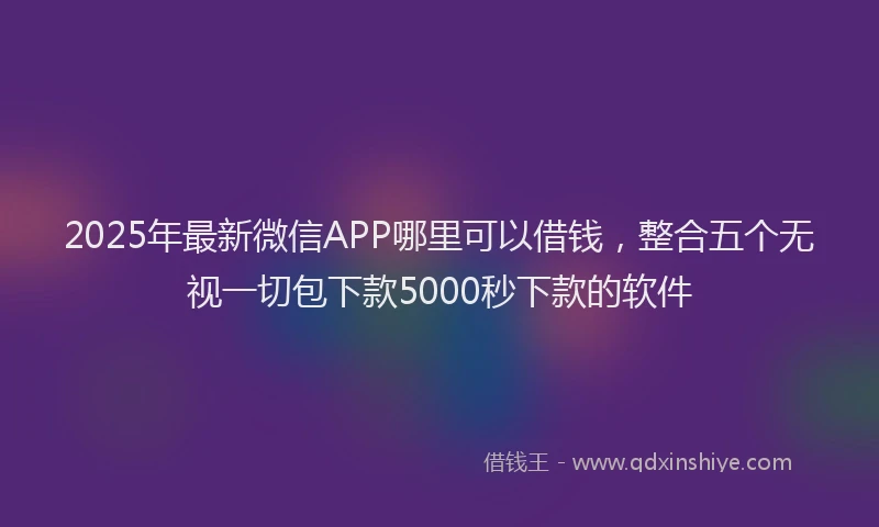 2025年最新微信APP哪里可以借钱，整合五个无视一切包下款5000秒下款的软件