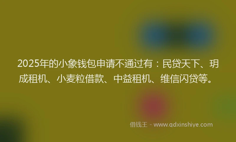 2025年的小象钱包申请不通过有：民贷天下、玥成租机、小麦粒借款、中益租机、维信闪贷等。