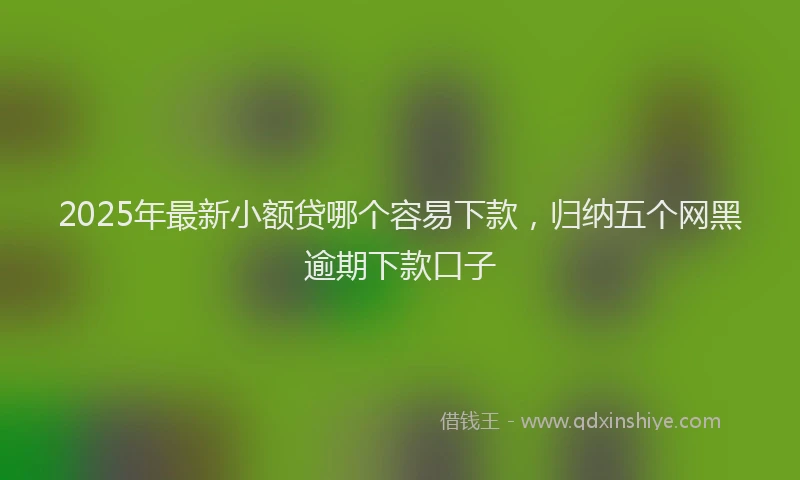 2025年最新小额贷哪个容易下款，归纳五个网黑逾期下款口子