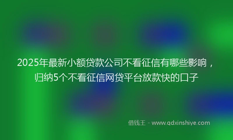 2025年最新小额贷款公司不看征信有哪些影响，归纳5个不看征信网贷平台放款快的口子