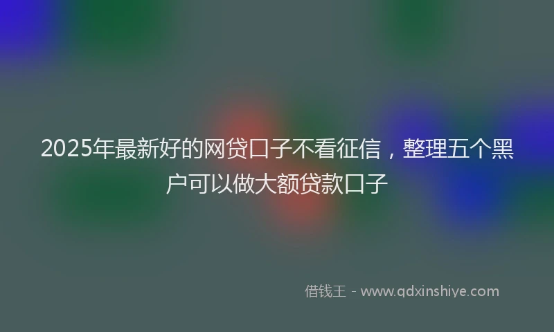 2025年最新好的网贷口子不看征信，整理五个黑户可以做大额贷款口子