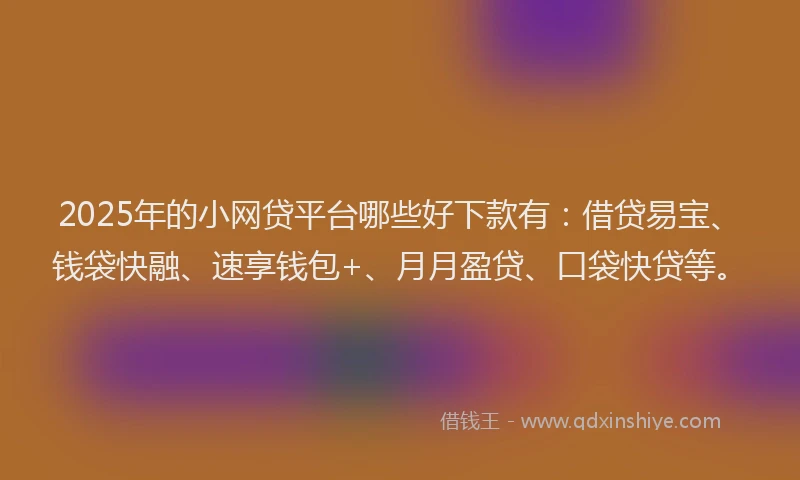 2025年的小网贷平台哪些好下款有：借贷易宝、钱袋快融、速享钱包+、月月盈贷、口袋快贷等。