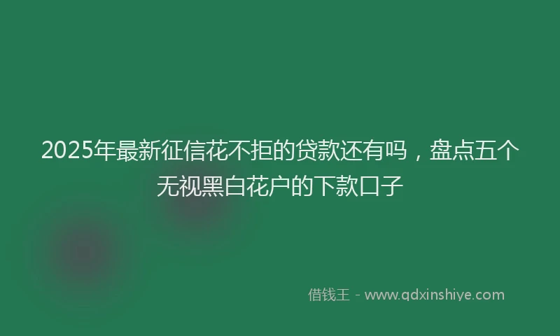 2025年最新征信花不拒的贷款还有吗，盘点五个无视黑白花户的下款口子