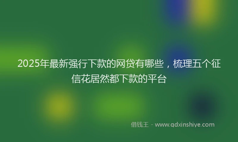 2025年最新强行下款的网贷有哪些，梳理五个征信花居然都下款的平台