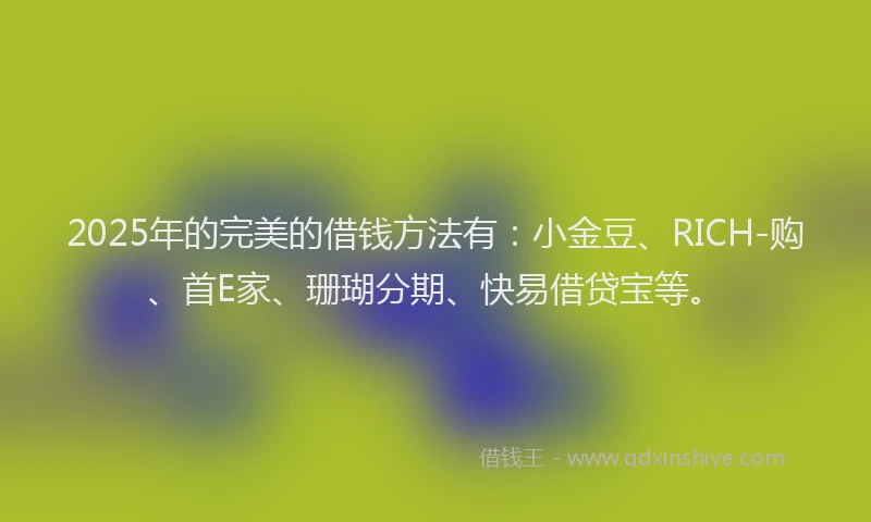 2025年的完美的借钱方法有：小金豆、RICH-购、首E家、珊瑚分期、快易借贷宝等。