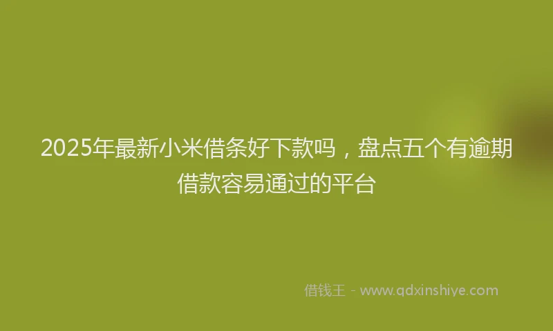 2025年最新小米借条好下款吗，盘点五个有逾期借款容易通过的平台