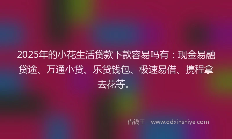 2025年的小花生活贷款下款容易吗有：现金易融贷途、万通小贷、乐贷钱包、极速易借、携程拿去花等。