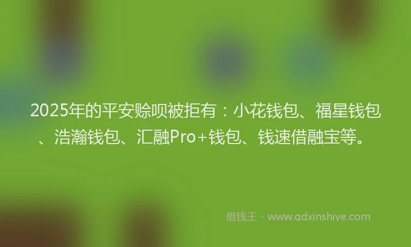 2025年的平安赊呗被拒有：小花钱包、福星钱包、浩瀚钱包、汇融Pro+钱包、钱速借融宝等。