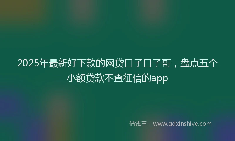 2025年最新好下款的网贷口子口子哥，盘点五个小额贷款不查征信的app