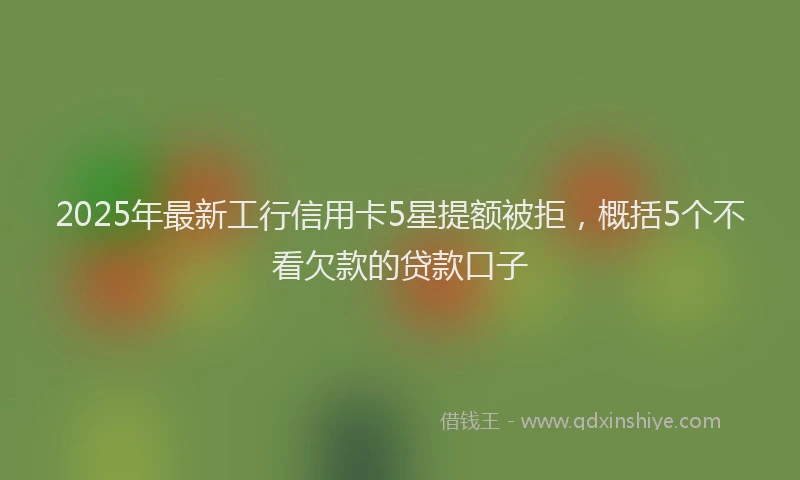 2025年最新工行信用卡5星提额被拒，概括5个不看欠款的贷款口子