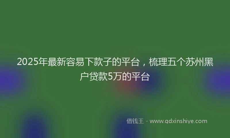 2025年最新容易下款子的平台，梳理五个苏州黑户贷款5万的平台