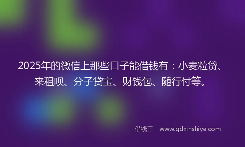 2025年的微信上那些口子能借钱有：小麦粒贷、来租呗、分子贷宝、财钱包、随行付等。