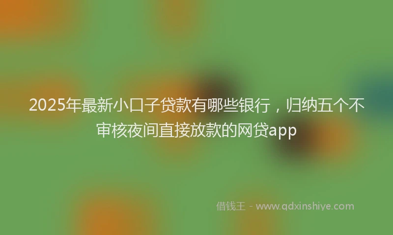 2025年最新小口子贷款有哪些银行，归纳五个不审核夜间直接放款的网贷app