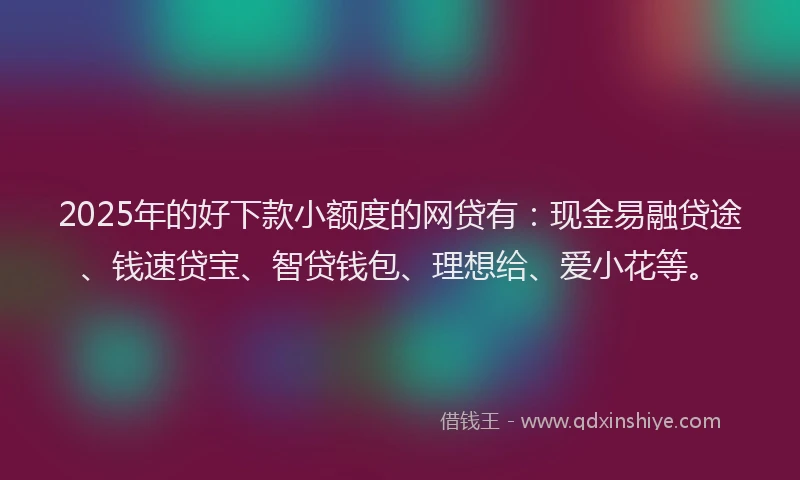 2025年的好下款小额度的网贷有：现金易融贷途、钱速贷宝、智贷钱包、理想给、爱小花等。