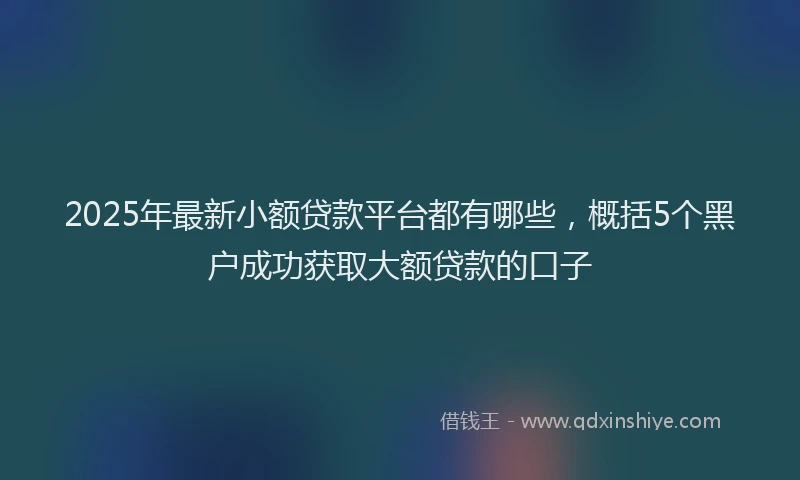 2025年最新小额贷款平台都有哪些，概括5个黑户成功获取大额贷款的口子