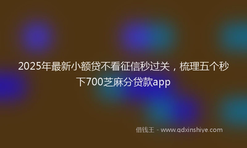 2025年最新小额贷不看征信秒过关，梳理五个秒下700芝麻分贷款app