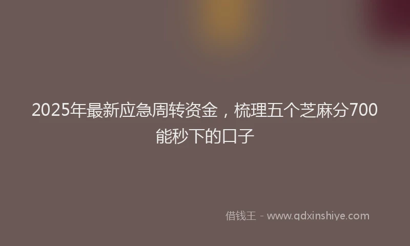 2025年最新应急周转资金，梳理五个芝麻分700能秒下的口子