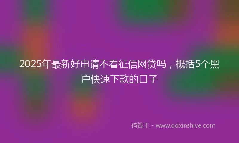 2025年最新好申请不看征信网贷吗，概括5个黑户快速下款的口子