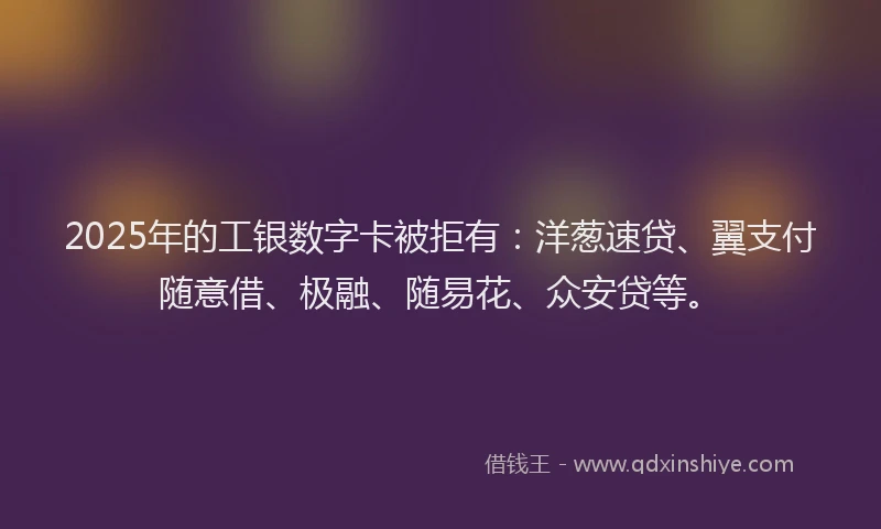 2025年的工银数字卡被拒有：洋葱速贷、翼支付随意借、极融、随易花、众安贷等。
