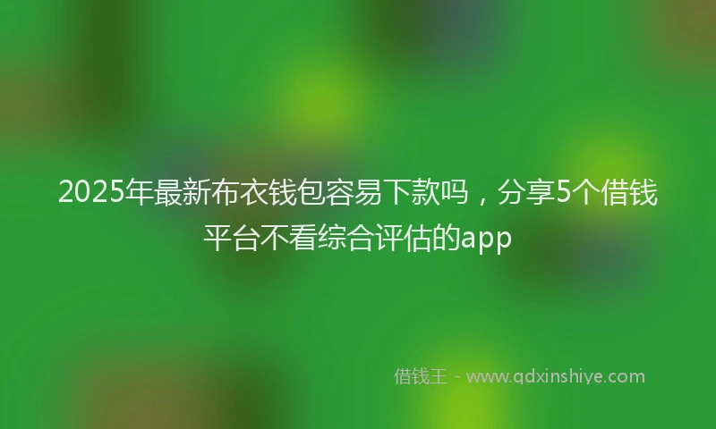 2025年最新布衣钱包容易下款吗，分享5个借钱平台不看综合评估的app