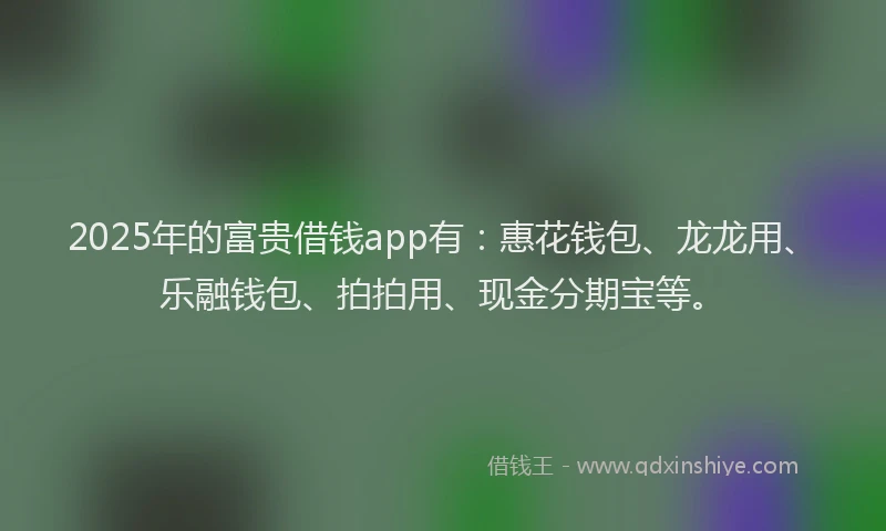 2025年的富贵借钱app有：惠花钱包、龙龙用、乐融钱包、拍拍用、现金分期宝等。