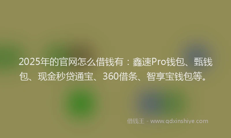 2025年的官网怎么借钱有：鑫速Pro钱包、甄钱包、现金秒贷通宝、360借条、智享宝钱包等。