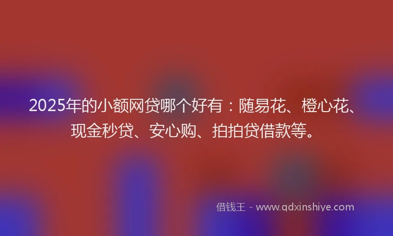2025年的小额网贷哪个好有：随易花、橙心花、现金秒贷、安心购、拍拍贷借款等。