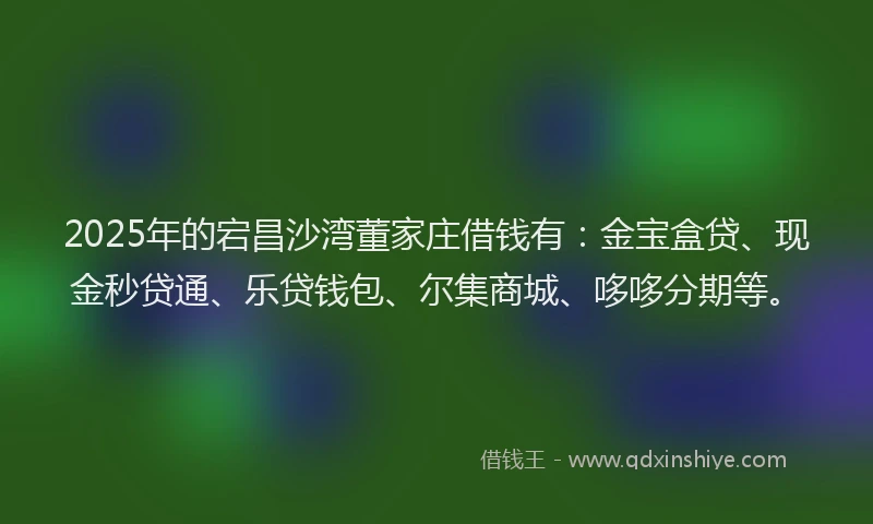 2025年的宕昌沙湾董家庄借钱有：金宝盒贷、现金秒贷通、乐贷钱包、尔集商城、哆哆分期等。