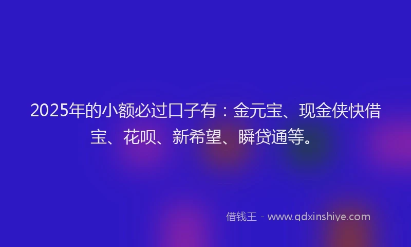 2025年的小额必过口子有：金元宝、现金侠快借宝、花呗、新希望、瞬贷通等。