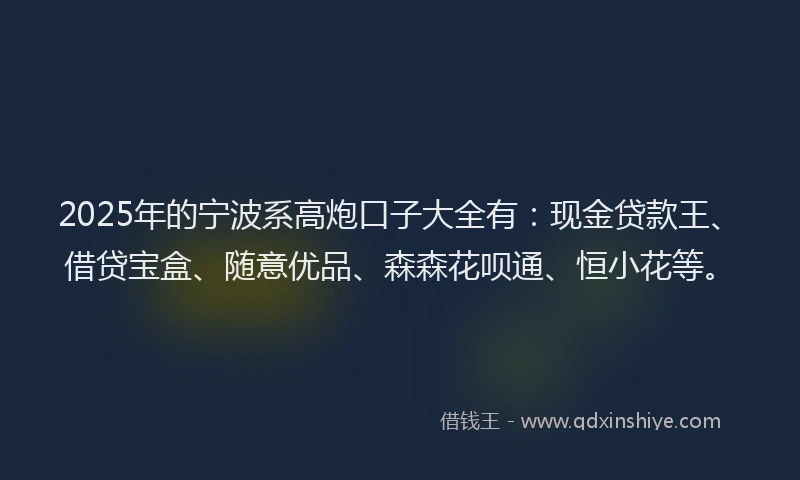 2025年的宁波系高炮口子大全有：现金贷款王、借贷宝盒、随意优品、森森花呗通、恒小花等。