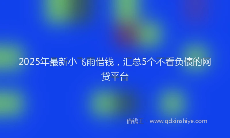 2025年最新小飞雨借钱，汇总5个不看负债的网贷平台