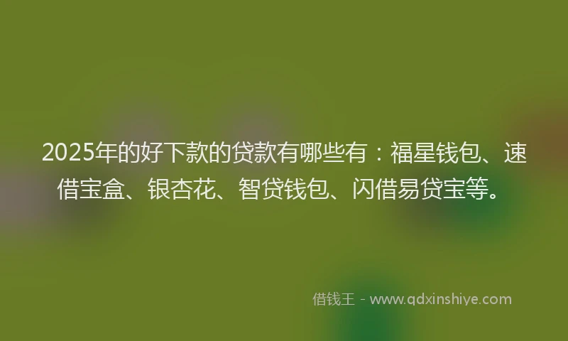 2025年的好下款的贷款有哪些有：福星钱包、速借宝盒、银杏花、智贷钱包、闪借易贷宝等。