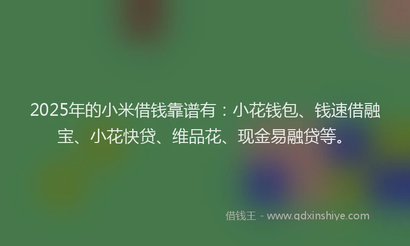 2025年的小米借钱靠谱有：小花钱包、钱速借融宝、小花快贷、维品花、现金易融贷等。