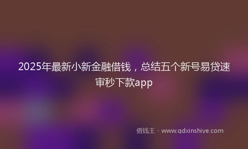 2025年最新小新金融借钱，总结五个新号易贷速审秒下款app