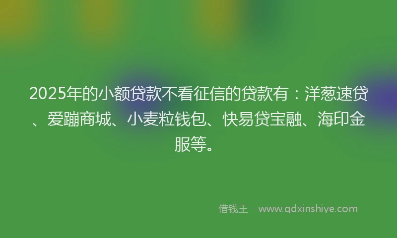 2025年的小额贷款不看征信的贷款有：洋葱速贷、爱蹦商城、小麦粒钱包、快易贷宝融、海印金服等。