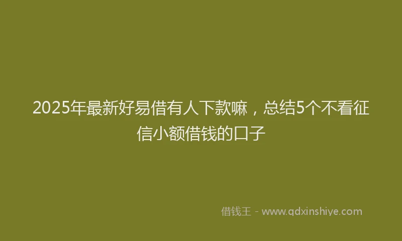 2025年最新好易借有人下款嘛，总结5个不看征信小额借钱的口子