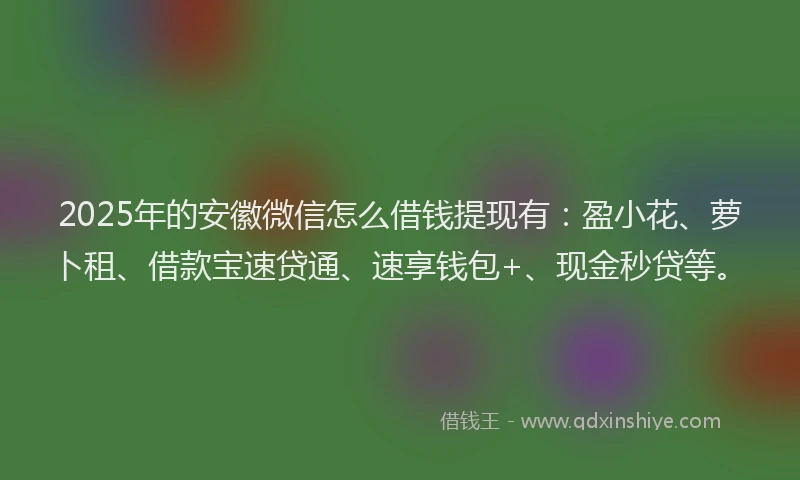 2025年的安徽微信怎么借钱提现有：盈小花、萝卜租、借款宝速贷通、速享钱包+、现金秒贷等。
