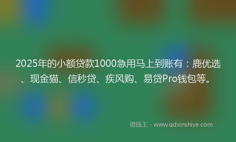 2025年的小额贷款1000急用马上到账有：鹿优选、现金猫、信秒贷、疾风购、易贷Pro钱包等。