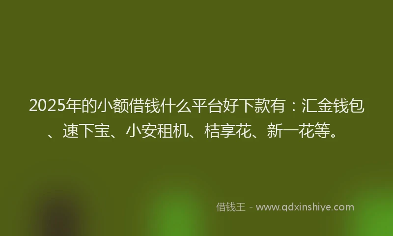 2025年的小额借钱什么平台好下款有：汇金钱包、速下宝、小安租机、桔享花、新一花等。