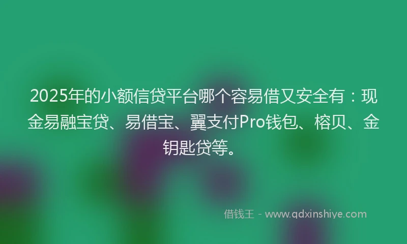 2025年的小额信贷平台哪个容易借又安全有：现金易融宝贷、易借宝、翼支付Pro钱包、榕贝、金钥匙贷等。