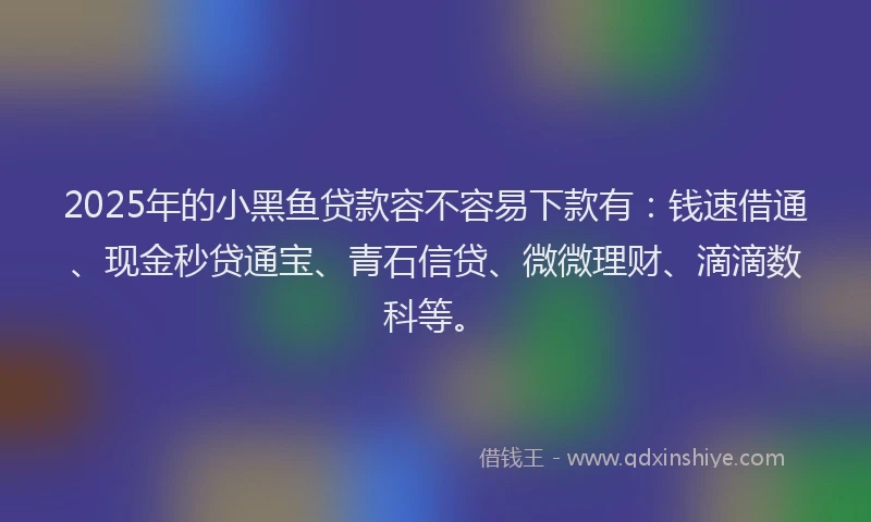 2025年的小黑鱼贷款容不容易下款有：钱速借通、现金秒贷通宝、青石信贷、微微理财、滴滴数科等。