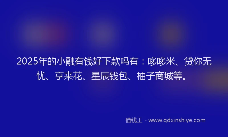 2025年的小融有钱好下款吗有：哆哆米、贷你无忧、享来花、星辰钱包、柚子商城等。