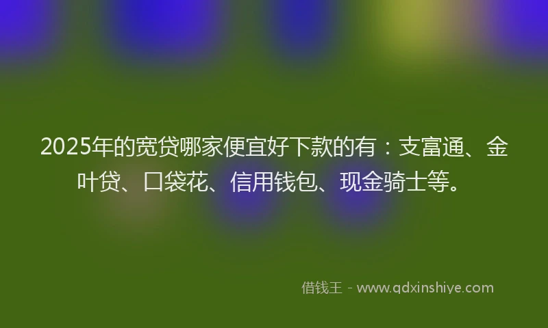 2025年的宽贷哪家便宜好下款的有：支富通、金叶贷、口袋花、信用钱包、现金骑士等。